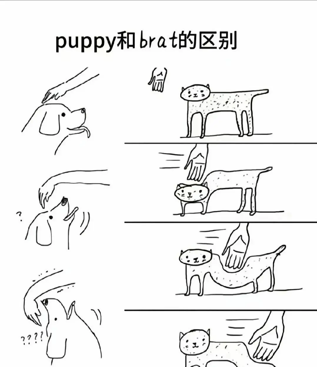 西檬之家-TK是什么？字母圈新人入圈指南