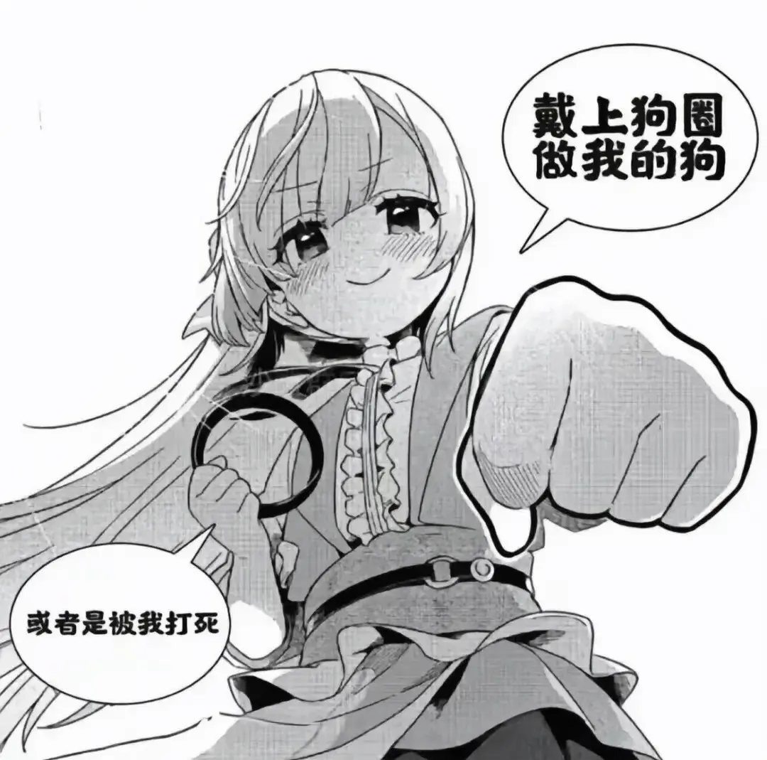 【西檬之家】字母圈新人入圈指南：从基础知识到SSC原则