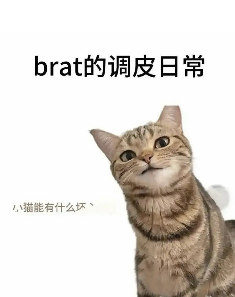 西檬之家-斯慕圈新人入圈指南