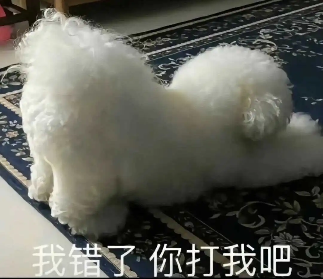西檬之家-k9是什么？探索BDSM文化中的狗奴角色与互动模式