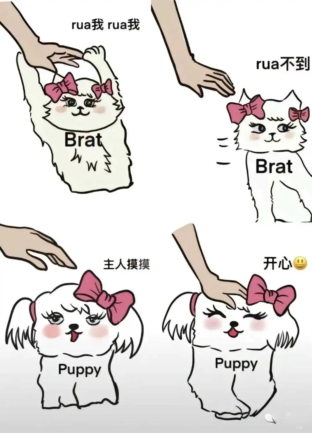 西檬之家-字母圈Sub是什么？新人必读指南