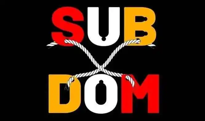 西檬之家-字母圈新人入圈指南，从BDSM小白到资深玩家
