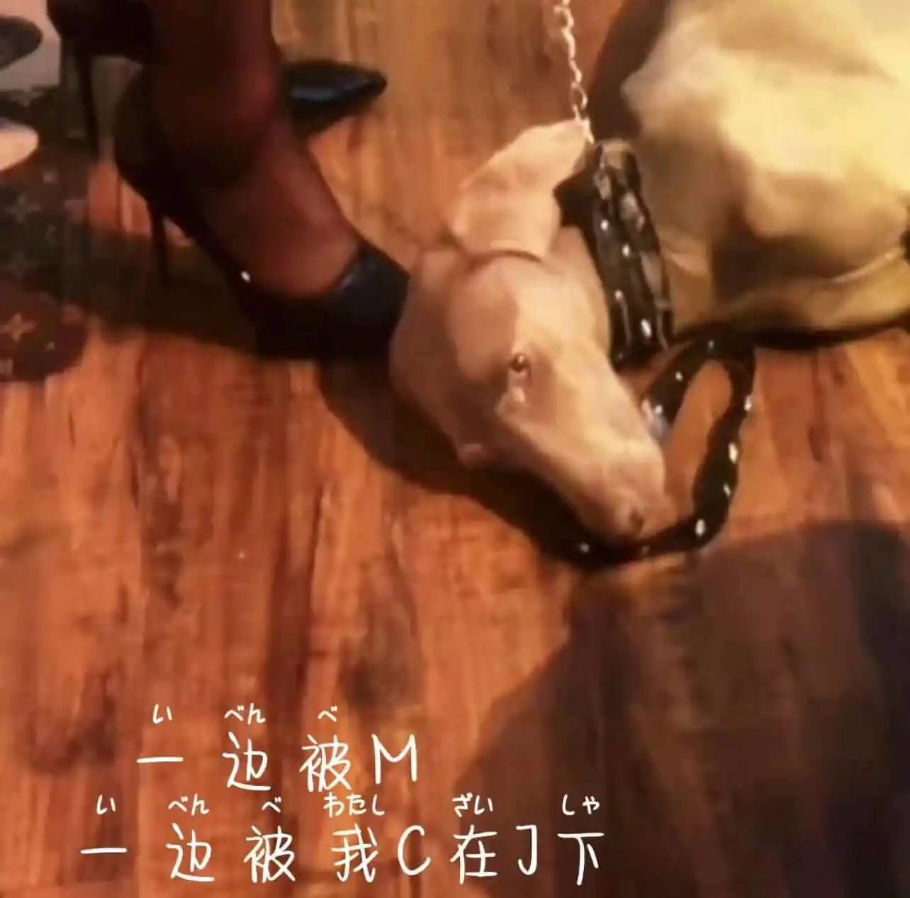 西檬之家-字母圈新人如何探索自己的S属性？