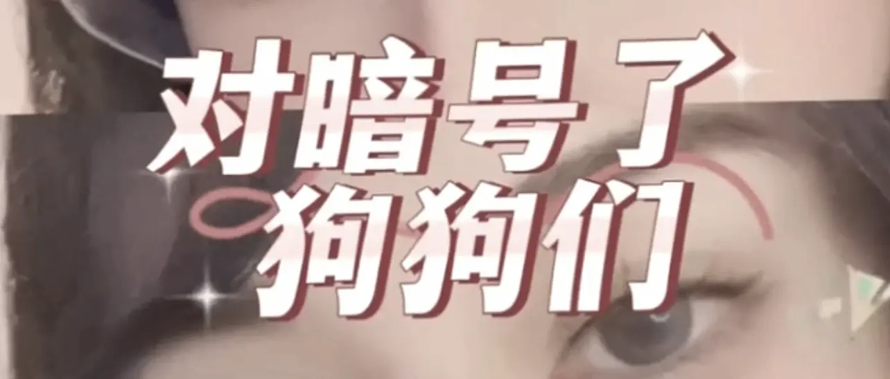 西檬之家-字母圈新人入圈指南