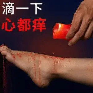 【西檬之家】小圈入门指南：SSC原则与核心术语解析